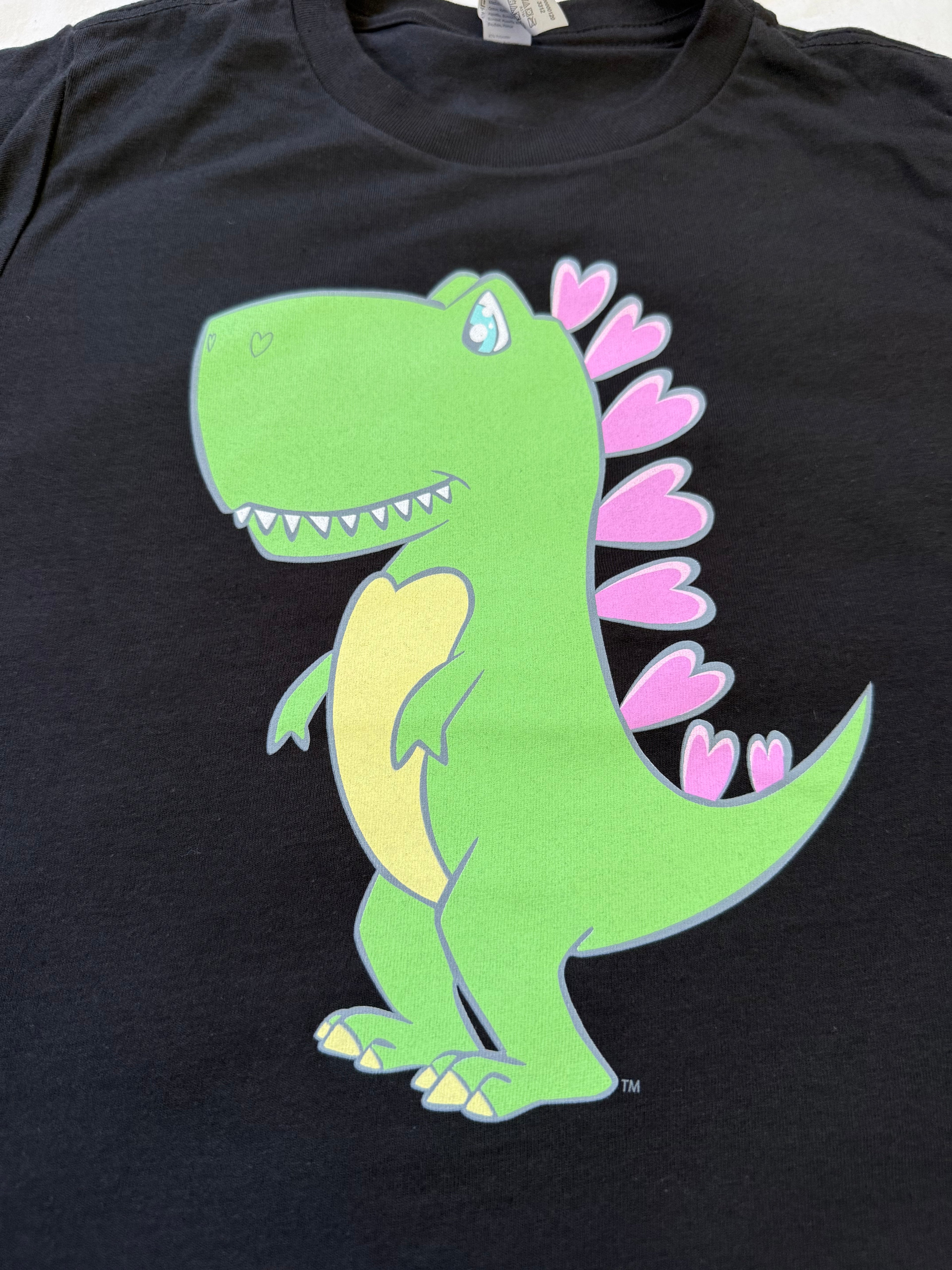 Youth Regular Fit T-shirt - The Empathetic Dino